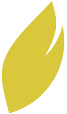 Regulatory