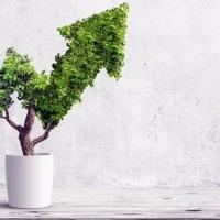 Investors Believe Sustainability Creates Tangible Value